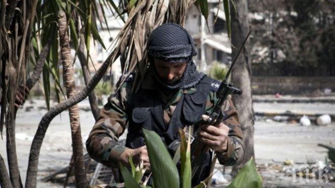 Австралийци изпраха 53 млн. долара в подкрепа на ислямисти