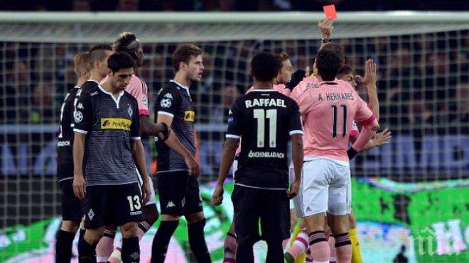 Старата госпожа не се даде на жребците