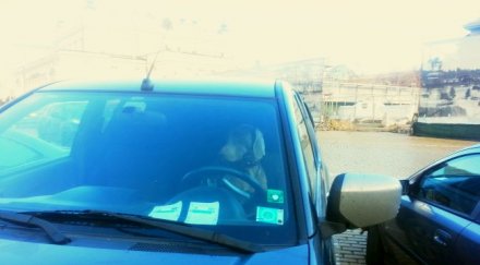 куче паркира парламента снимки