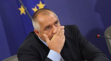 алфа рисърч бсп герб почти изравниха