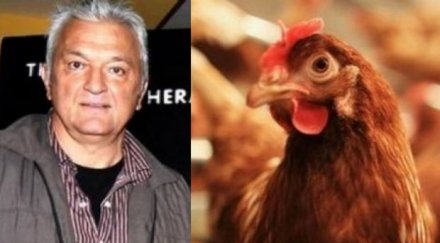 цветанов подцени експеримента сашо диков пилето доган