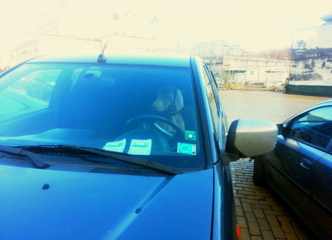 Куче паркира пред парламента (Снимки)