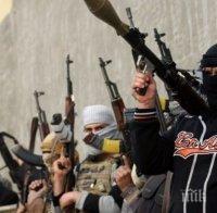 Терористи държат в плен бременна германска журналистка