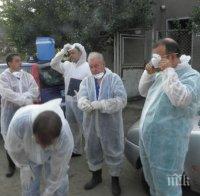 БАБХ: Няма опасност от бруцелоза в Кюстендилско