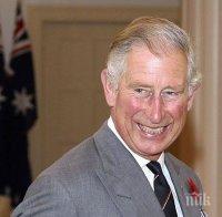 От фермата на принц Чарлз е откраднат 100-килограмов дървен морков