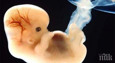 чудо годишно момче оказа бременно