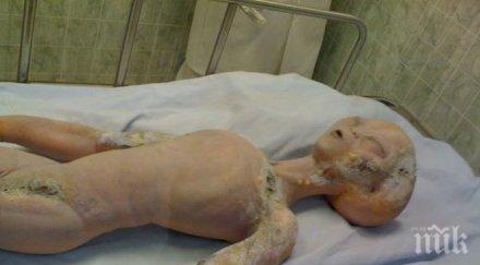 сензационно първи път астрофизик разкри тайни извънземната мумия общо човешкото днк