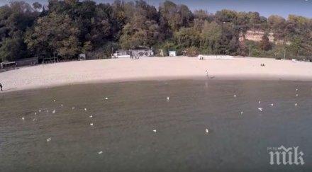 вижте варна птичи поглед видео остави без дъх