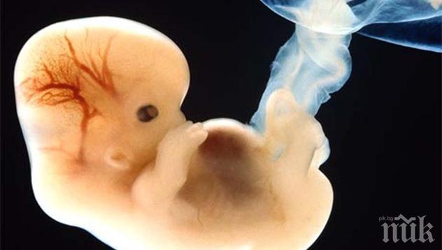 ЧУДО! 4-годишно момче се оказа бременно