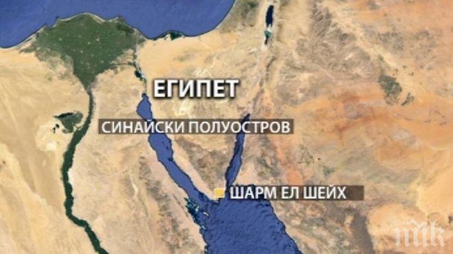 Египет спира допълнителните полети от Шарм ел-Шейх за връщане на туристите във Великобритания