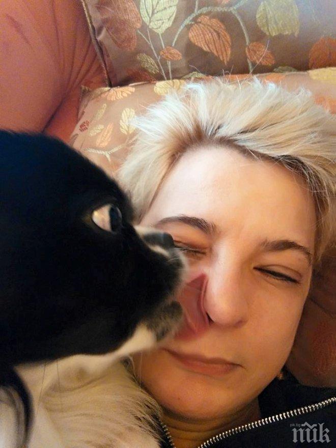 Недялко Недялков осъди на първа инстанция Веселина Томова и Афера