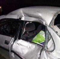 Катастрофа на новия лот на „Струма”! Кола се удари в... крава (снимки)