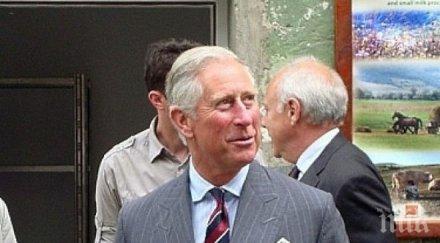 откраднаха дървения морков принц чарлз