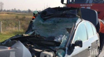 двойна трагедия забилият тир тракия мъж оставя две сирачета бързал софия види болната майка