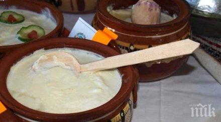 предлагаме куба наше кисело мляко