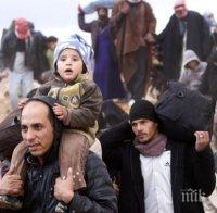 Швеция към бежанците: Останете в Германия