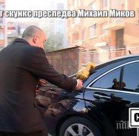 ПЪРВО в ПИК! 