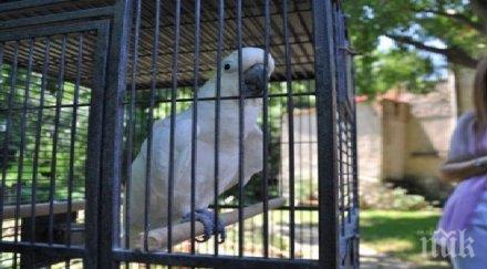 приключи ремонтът зоопарка благоевград