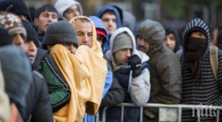 настаняват мюсюлмани бежанци свинеферма