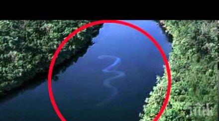 убиха голямата змия света вижте уникалното чудовище снимка