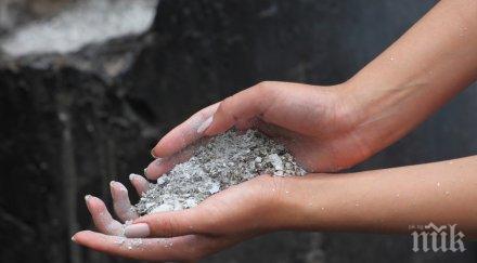 близо 700 кофи пепел бъдат разположени благоевград