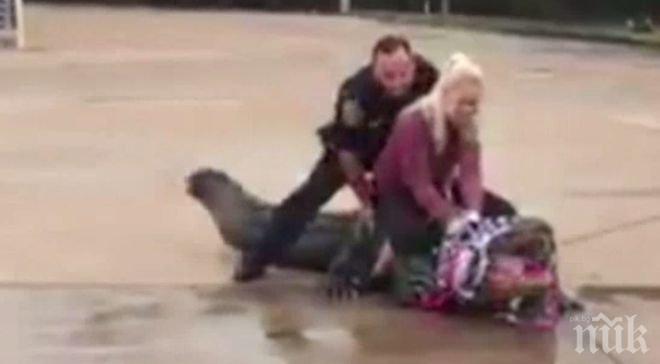 Алигатор се разходи в мол в Тексас