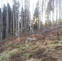 Зам.-министър Георги Костов: Служителите, които не са изпълнявали задълженията си на Витоша, ще понесат наказание