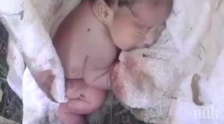 един парк един мъж приближава едно одеяло открива одеялото наистина трогателно