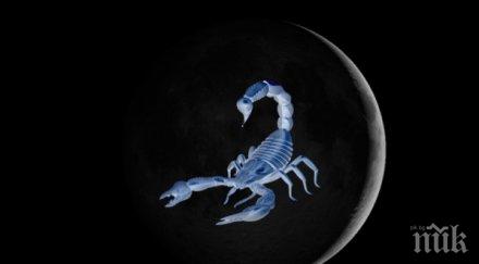 внимание настъпва новолуние скорпион предстои