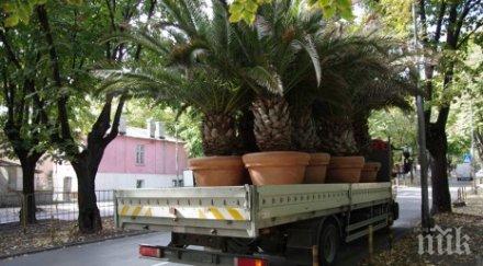 малта проведе международна среща въпросите свързани миграцията