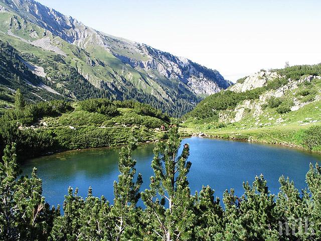ПСС: Добри са условията за туризъм в ниските части на планините
