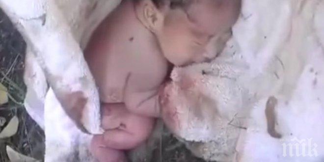 В един парк, един мъж приближава до едно одеяло. Това, което открива в одеялото? Наистина трогателно!