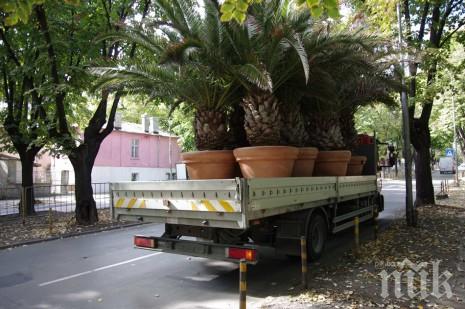 В Малта ще се проведе международна среща по въпросите, свързани с миграцията