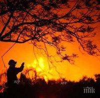 Над 80 горски служители борят огнения ад край Смолян