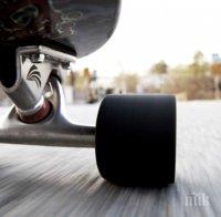 Булдогът Ото постави рекорд на скейтборд