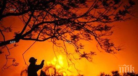 горски служители борят огнения смолян