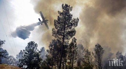 смолянската прокуратура започна досъдебно производство пожара иглолистната гора