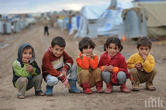 Над хиляда самотни деца бежанци са поискали закрила от нас за 9 месеца