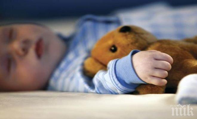 Ужас в Германия! Откриха труповете на седем новородени 