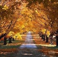 Хубавото време продължава! Седмицата стартира със слънце, живакът ще удари 20°