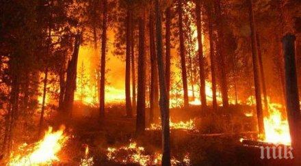 100 декара гора гори района габрово