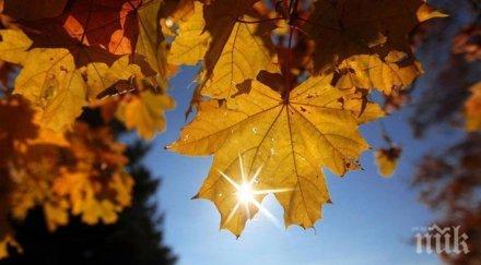 слънчево време очаква