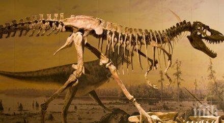 учени откриха фосили непознат досега вид динозаври сащ