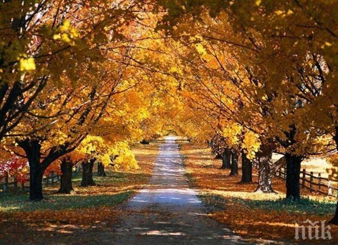 Хубавото време продължава! Седмицата стартира със слънце, живакът ще удари 20°