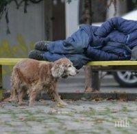 Бездомници окупираха Слънчев бряг