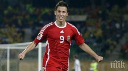 предлагат левски бергкамп бивш играч ливърпул