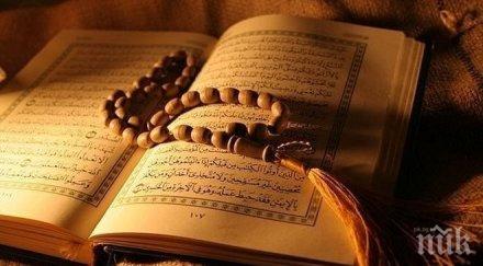 чергата българия дими твърди мюсюлманин пловдив