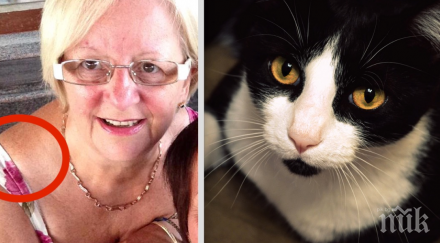 годишна възрастна жена представа израства рамото нейната котка започва държи странно става ясно