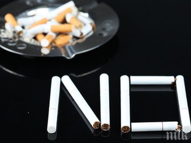 Обсъждат рисковете за здравето при употреба на цигари във Враца
