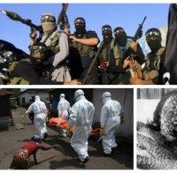 Експерт с ужасяваща прогноза: 